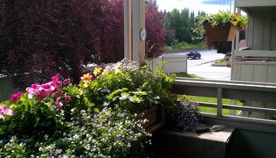 Deck flowers #2