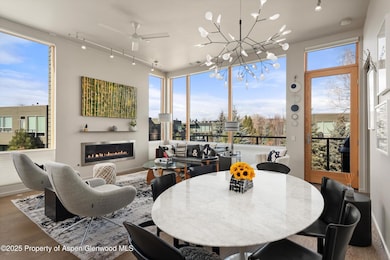 103 Willits Way unit 204, Basalt, CO 81621 - photo 4