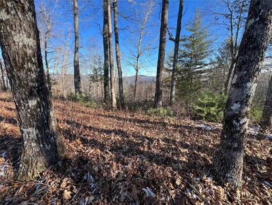 26 Shepherds Gap Rd, Cullowhee, NC 28723 - photo 5