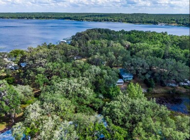 20940 NE 142nd Place, Fort Mc Coy, FL 32134 - photo 6