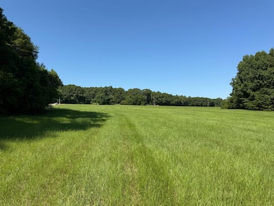 County Road 11, Ariton, AL 36311 - photo 2