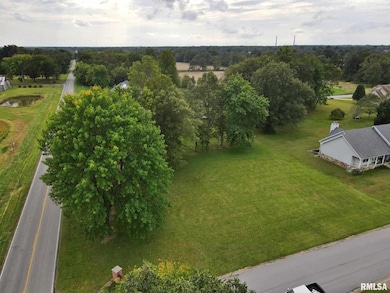 00 Hawthorne Ln, Grant, IL 62960 - photo 3