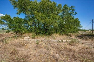 View of local wilderness with a rural view
