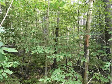 0 Jones Rd unit 4655497, Effingham, NH 03882 - photo 7