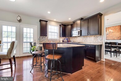 19006 Black Maple Way, Hagerstown, MD 21742 - photo 6