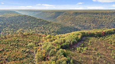 Roberts Road, Spencer, TN 38585