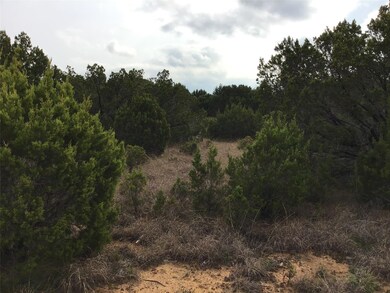 33057 Greenhill Dr, Whitney, TX 76692 - photo 5