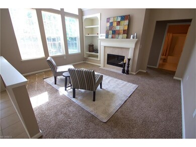 Family Room with Vaulted Ceiling and built in shel