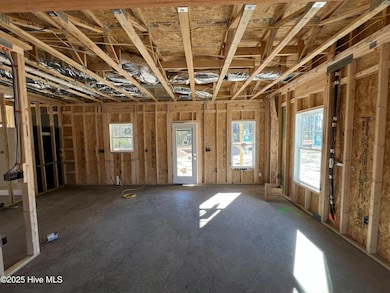 408 Creeks Edge Dr, Pikeville, NC 27863 - photo 5