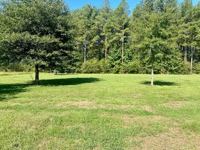 14 Firetower Rd, Tylertown, MS 39667 - photo 6