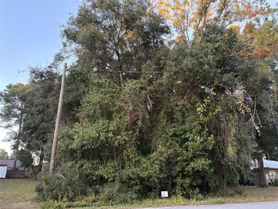 0 NW 60 St unit MFROM713210, Ocala, FL 34482 - photo 4