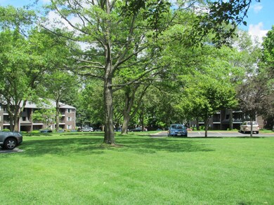 2340 Commonwealth Ave unit 1-2, Auburndale, MA 02466 - photo 6