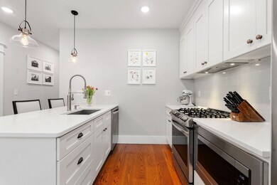 4 Hagar St unit 1, Jamaica Plain, MA 02130 - photo 4