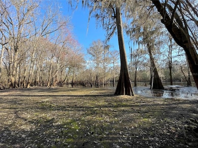 560 SW Santa fe Dr, Fort White, FL 32038 - photo 3