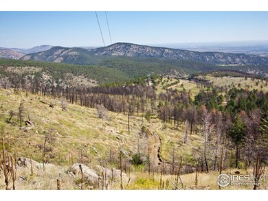 View of Property from Highest Point on Property