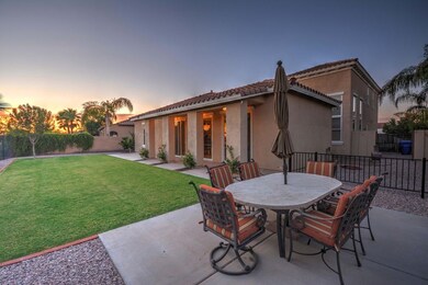 Backyard at Twilight