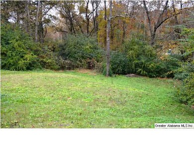 Huge yard