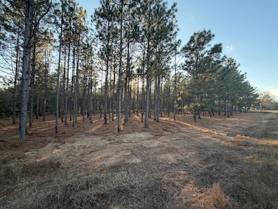 0 County Road 1156, Troy, AL 36079 - photo 4