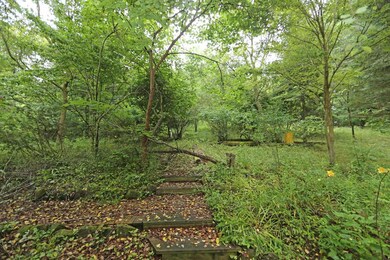 29221 Flat Run Rd, Danville, OH 43014 - photo 7