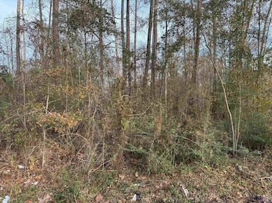 25428 Wisteria Rd, Springfield, LA 70462 - photo 3