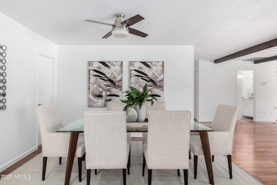 8520 E Turney Ave, Scottsdale, AZ 85251 - photo 5