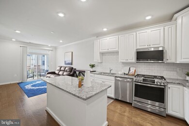 23230 Milltown Knoll Square unit 110, Ashburn, VA 20148 - photo 5