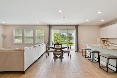 1297 Bering Rd, Wesley Chapel, FL 33543 - photo 7