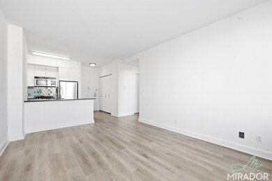80 Dekalb Ave unit 15D, Brooklyn, NY 11201 - photo 2