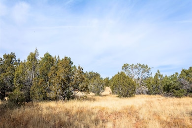 Loba Ln, Seligman, AZ 86322 - photo 2
