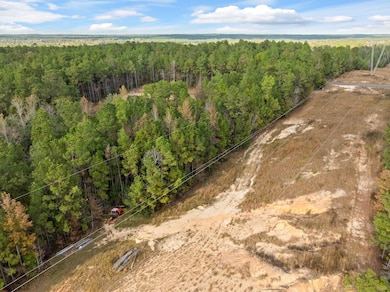 143 Luther Saucier Rd, Lumberton, MS 39455 - photo 6