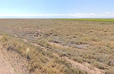 0 Somerset unit 25572948, Blanca, CO 81123 - photo 6