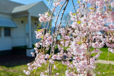 705 S 2nd St, Shenandoah, VA 22849 - photo 3