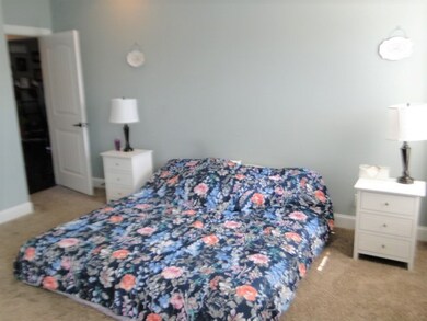 504 Apple Blossom Trail, Shelbyville, TN 37160 - photo 7