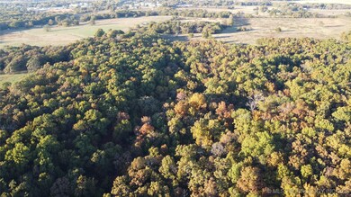 0000 Cohea Ln, Afton, OK 74331 - photo 5