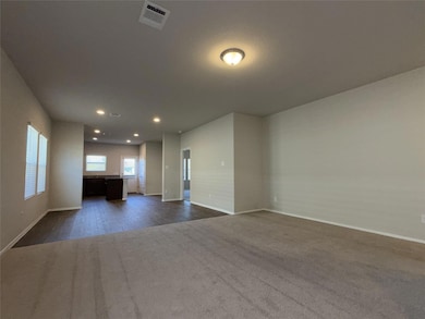 129 Tall Grass Dr, Andice, TX 78628 - photo 4