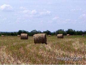 45.478 Acres Fm 580, Copperas Cove, TX 76522 - photo 4