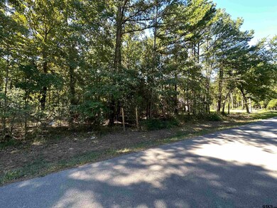 14688 Jade Forest Trail, Tyler, TX 75707 - photo 4