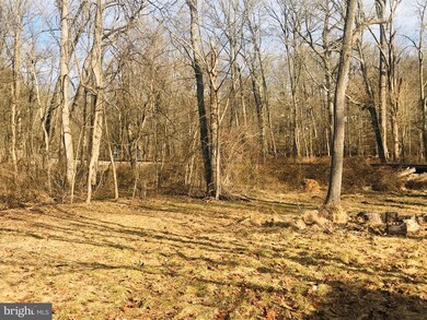 2315 Spruce Ave, Wilmington, DE 19808 - photo 3