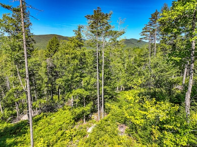 Lot 39 Sawyer Notch Rd, Andover, ME 04216 - photo 3