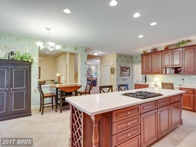 42589 Cochrans Lock Dr, Ashburn, VA 20148 - photo 4