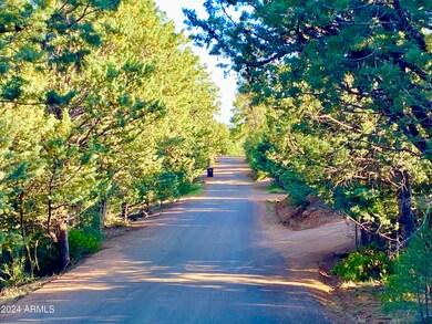 Cypress Hills Lots 17 & 18 --, Pine, AZ 85544 - photo 6