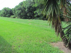 4703 Hairland Dr unit 3, West Palm Beach, FL 33415 - photo 5