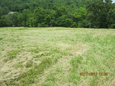 1354 Birdie Rd, Lawrenceburg, KY 40342 - photo 5