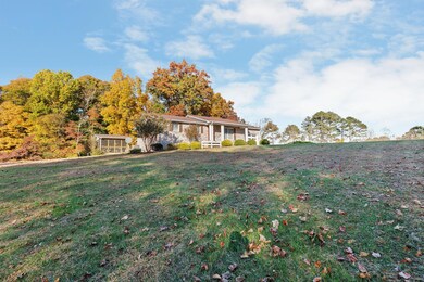 3-web-or-mls-217A4756