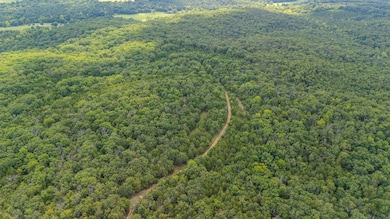 000 Merritt Rd, Chadwick, MO 65629 - photo 4