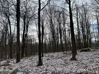 0 Wheelock Way unit PWBPW240052, Honesdale, PA 18431 - photo 3