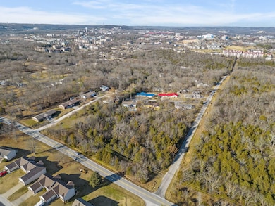 Tbd Fall Creek Rd, Branson, MO 65616 - photo 3