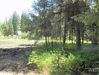 20 Andy, Donnelly, ID 83638 - photo 6