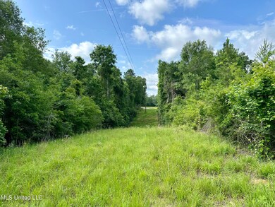 0 Harris Rd, McComb, MS 39648 - photo 7