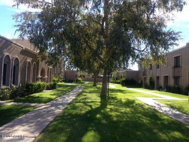 The well maintained grassy communal area